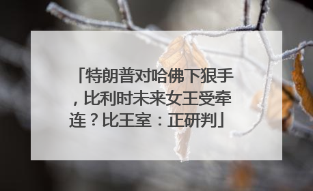 特朗普对哈佛下狠手，比利时未来女王受牵连？比王室：正研判