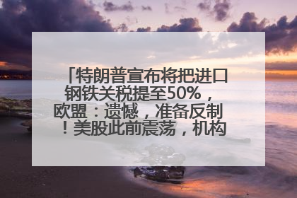 特朗普宣布将把进口钢铁关税提至50%，欧盟：遗憾，准备反制！美股此前震荡，机构：美元正进入熊市