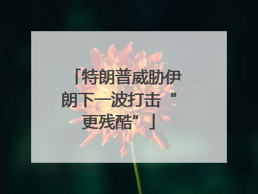 特朗普威胁伊朗下一波打击“更残酷”
