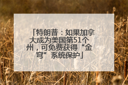 特朗普：如果加拿大成为美国第51个州，可免费获得“金穹”系统保护