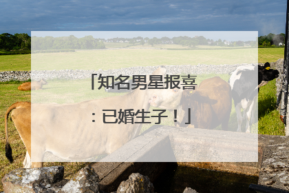 知名男星报喜：已婚生子！