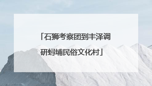 石狮考察团到丰泽调研蟳埔民俗文化村