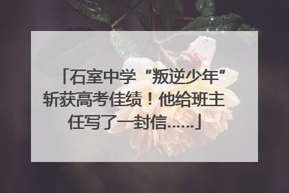 石室中学“叛逆少年”斩获高考佳绩！他给班主任写了一封信……