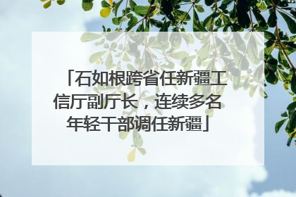 石如根跨省任新疆工信厅副厅长，连续多名年轻干部调任新疆