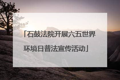 石鼓法院开展六五世界环境日普法宣传活动