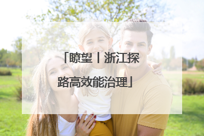 瞭望丨浙江探路高效能治理