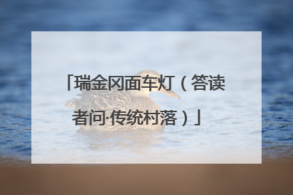瑞金冈面车灯（答读者问·传统村落）