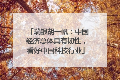 瑞银胡一帆：中国经济总体具有韧性，看好中国科技行业