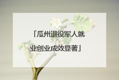 瓜州退役军人就业创业成效显著