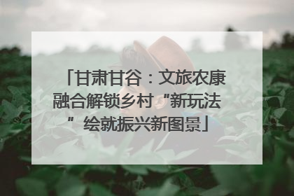 甘肃甘谷：文旅农康融合解锁乡村“新玩法”绘就振兴新图景