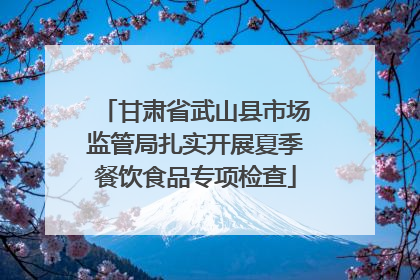 甘肃省武山县市场监管局扎实开展夏季餐饮食品专项检查