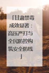 甘肃禁毒成效显著：高压严打与全民防控构筑安全防线