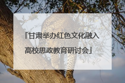 甘肃举办红色文化融入高校思政教育研讨会