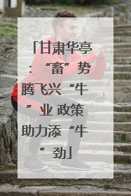 甘肃华亭：“畜”势腾飞兴“牛”业 政策助力添“牛”劲
