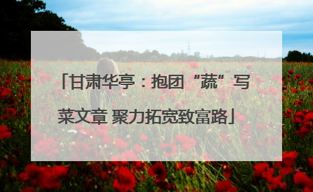 甘肃华亭：抱团“蔬”写菜文章 聚力拓宽致富路