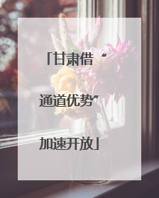 甘肃借“通道优势”加速开放