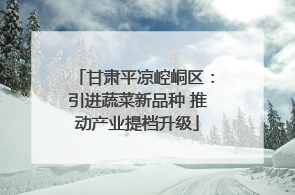 甘肃平凉崆峒区：引进蔬菜新品种 推动产业提档升级