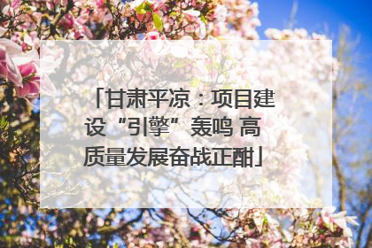 甘肃平凉：项目建设“引擎”轰鸣 高质量发展奋战正酣