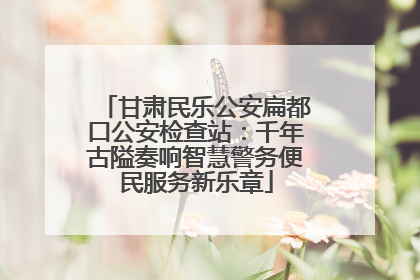 甘肃民乐公安扁都口公安检查站：千年古隘奏响智慧警务便民服务新乐章