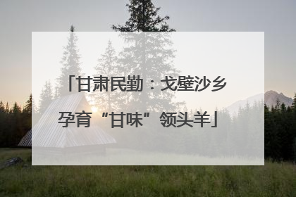 甘肃民勤：戈壁沙乡孕育“甘味”领头羊