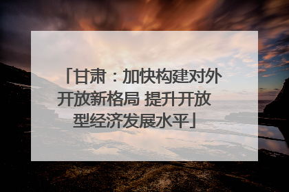 甘肃：加快构建对外开放新格局 提升开放型经济发展水平