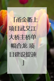 甬金衢上项目武义江大桥主桥单幅合龙 项目建设提速