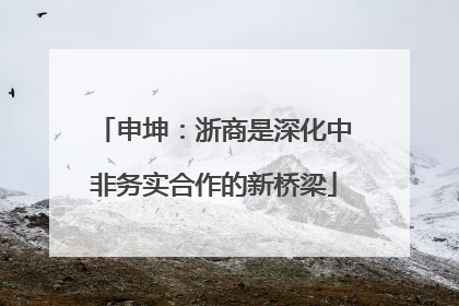 申坤：浙商是深化中非务实合作的新桥梁