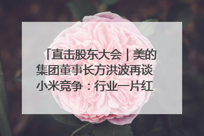 直击股东大会｜美的集团董事长方洪波再谈小米竞争：行业一片红海，打法已固定，无论谁胜都是消耗战