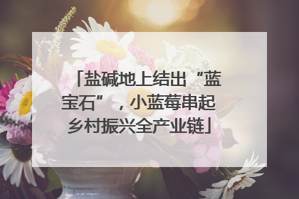 盐碱地上结出“蓝宝石”，小蓝莓串起乡村振兴全产业链