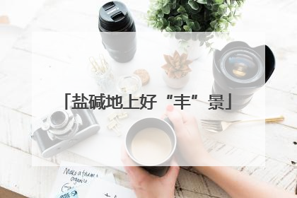 盐碱地上好“丰”景