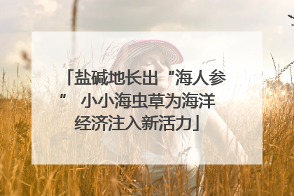 盐碱地长出“海人参” 小小海虫草为海洋经济注入新活力