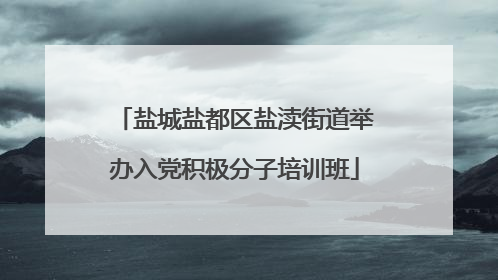 盐城盐都区盐渎街道举办入党积极分子培训班