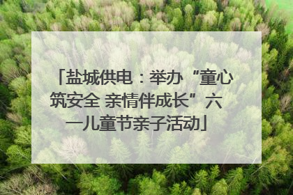盐城供电：举办“童心筑安全 亲情伴成长”六一儿童节亲子活动