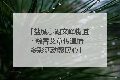 盐城亭湖文峰街道：粽香艾草传温情 多彩活动聚民心