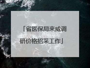 省医保局来威调研价格招采工作