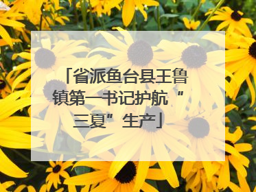 省派鱼台县王鲁镇第一书记护航“三夏”生产