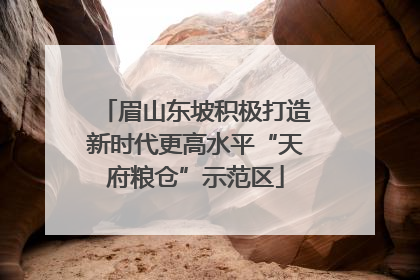 眉山东坡积极打造新时代更高水平“天府粮仓”示范区