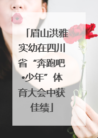 眉山洪雅实幼在四川省“奔跑吧•少年”体育大会中获佳绩
