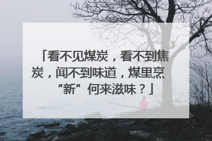 看不见煤炭，看不到焦炭，闻不到味道，煤里烹“新”何来滋味？