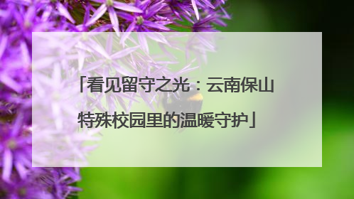 看见留守之光：云南保山特殊校园里的温暖守护