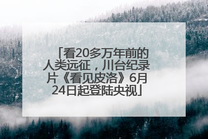 看20多万年前的人类远征，川台纪录片《看见皮洛》6月24日起登陆央视