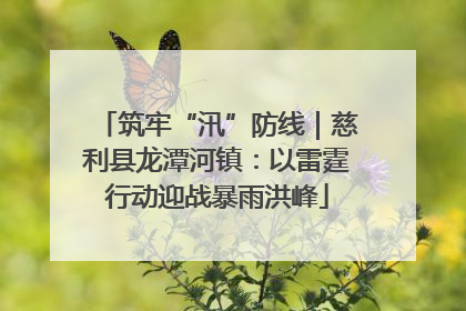 筑牢“汛”防线｜慈利县龙潭河镇：以雷霆行动迎战暴雨洪峰