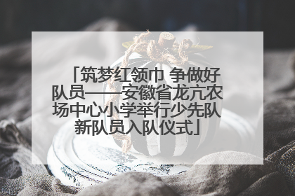 筑梦红领巾 争做好队员——安徽省龙亢农场中心小学举行少先队新队员入队仪式