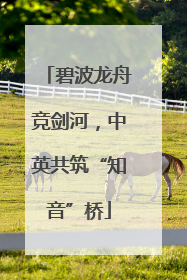 碧波龙舟竞剑河，中英共筑“知音”桥