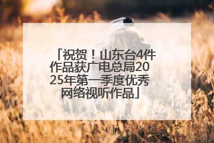 祝贺！山东台4件作品获广电总局2025年第一季度优秀网络视听作品