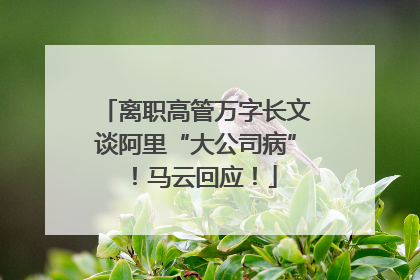离职高管万字长文谈阿里“大公司病”！马云回应！