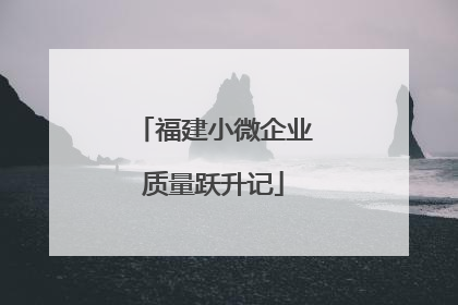 福建小微企业质量跃升记