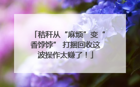 秸秆从“麻烦”变“香饽饽” 打捆回收这波操作太赚了！