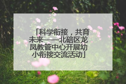 科学衔接，共育未来——北碚区龙凤教管中心开展幼小衔接交流活动