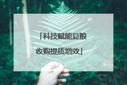 科技赋能夏粮收购提质增效